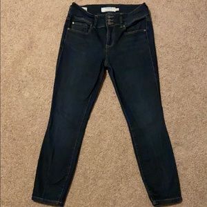 Torrid Jegging Jeans